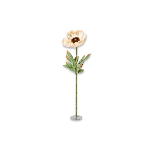 DE-ED-AMBL Großer weißer Mohn L
