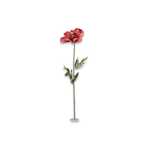 DE-ED-AMRL Großer rosafarbener Mohn